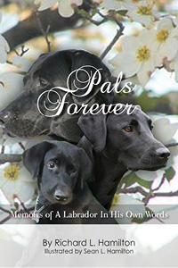 Cover, Pals Forever Approved Front Cover.JPG