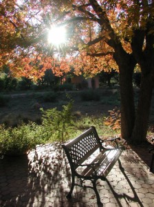 Calling all early birds - these are the final days for 6:00 a.m. to 8:00 a.m. access to the peaceful trails and colorful gardens at Boyce Thompson Arboretum;
