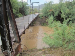 Water was once again flowing in the Gila River last week after a series of storms hit the Copper Basin area. Streets are roadways were flooded and debris was scattered everywhere. 