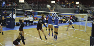 toyota volleyball tournament #7