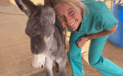 Our animals have an angel among them: Dr. Luise King, DMV