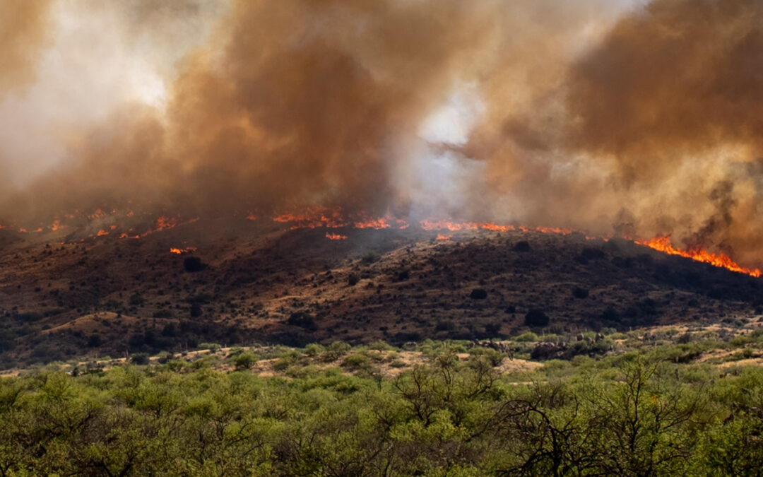 Fires force evacuation of Oracle