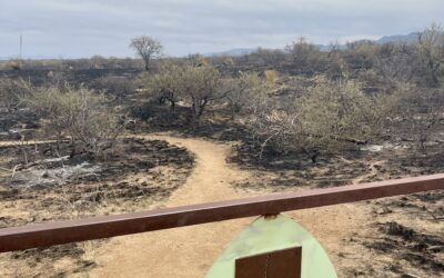 Wildfire dangers and Firewise program ideas