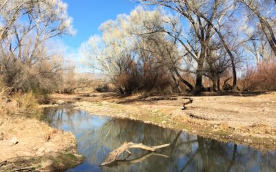 Lower San Pedro Watershed Alliance addresses threats to the San Pedro Valley